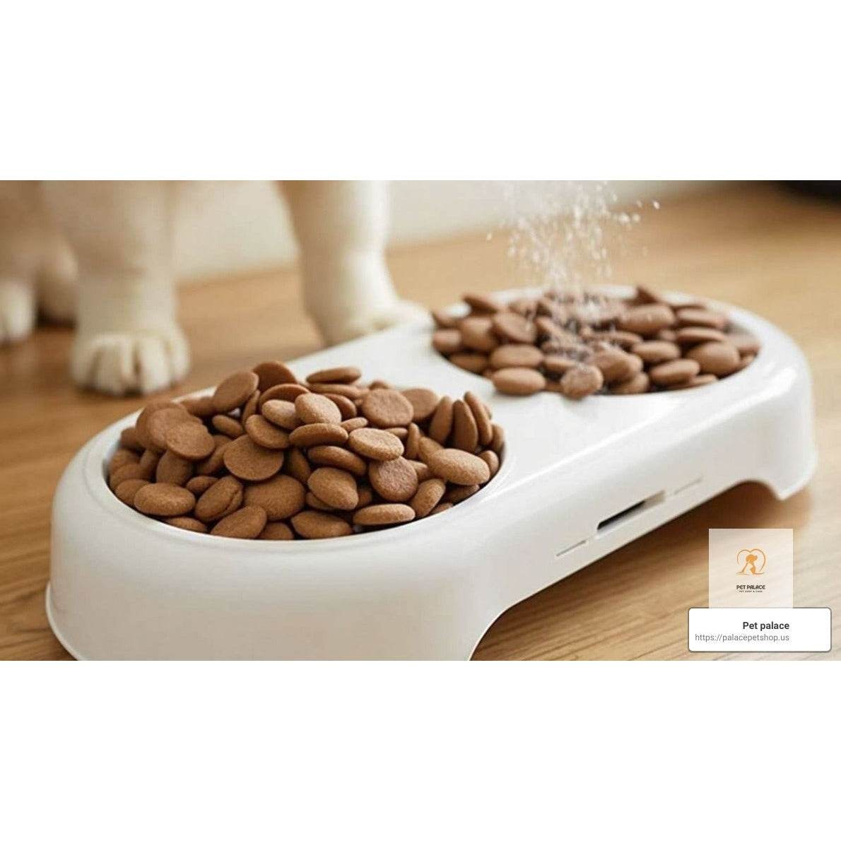 Automatic Pet Feeders: The Top Picks for Your Furry Friends - Pet palace shop