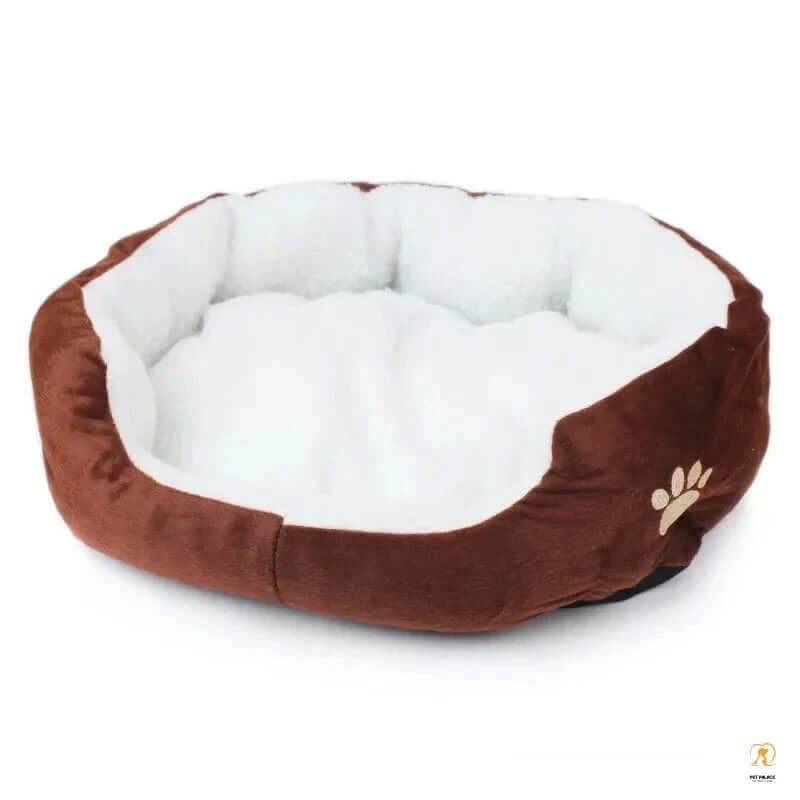 Best Dog Beds from Academy: A Comprehensive Guide - Pet palace shop