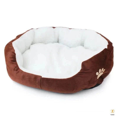Best Dog Beds from Academy: A Comprehensive Guide - Pet palace shop