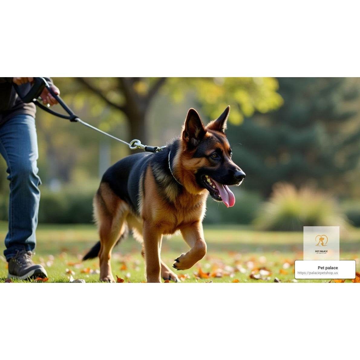 Heavy Duty Retractable Leashes: Perfect for Large Breeds - Pet palace shop