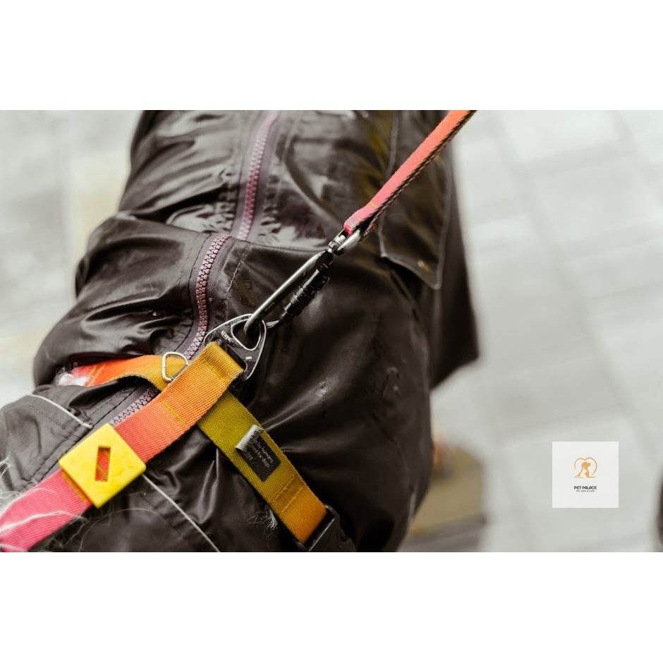 Secure and Strong: Best Heavy Duty Dog Harnesses and Leashes - Pet palace shop