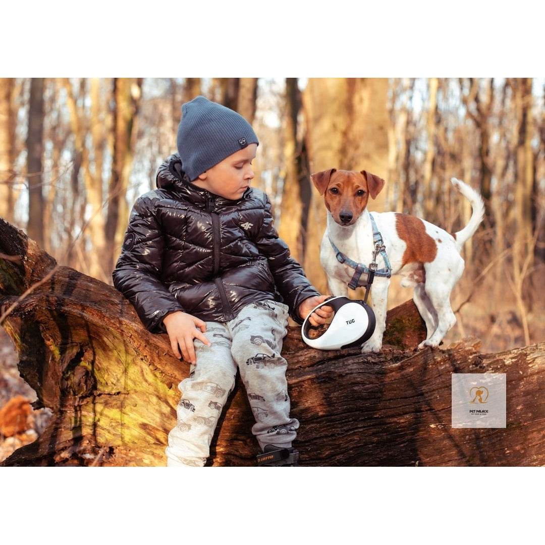 The Definitive Guide to the Best Dog Leashes - Pet palace shop