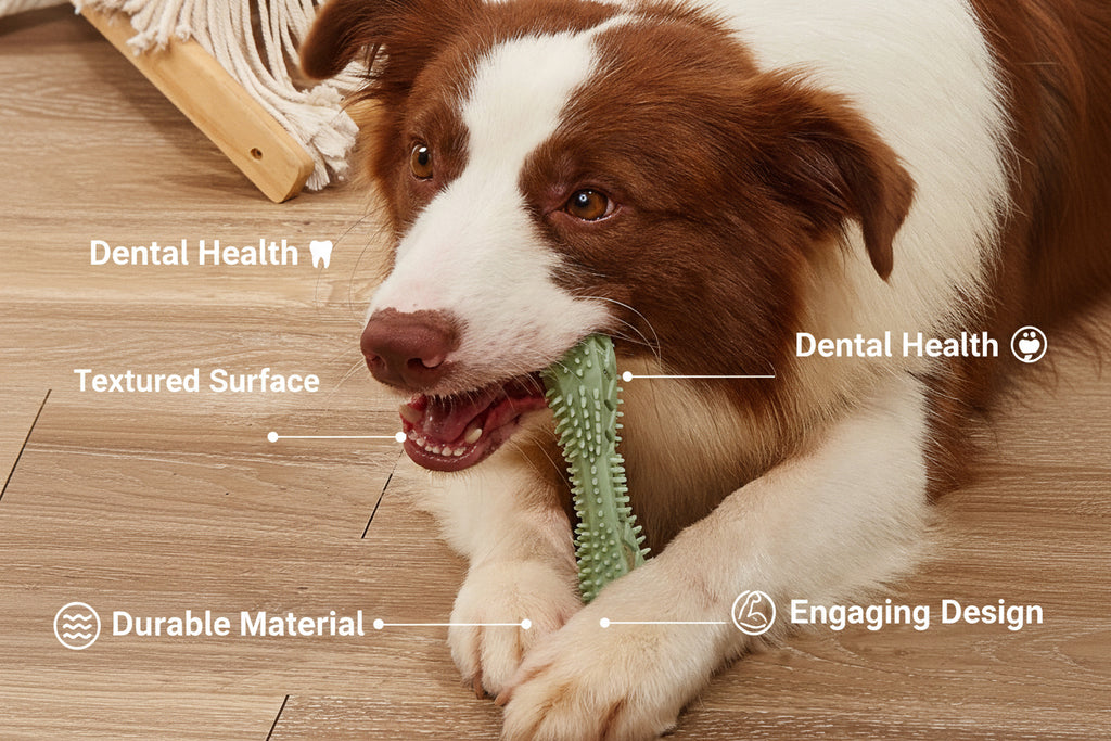Chew Toys For Dog Teeth Cleaning