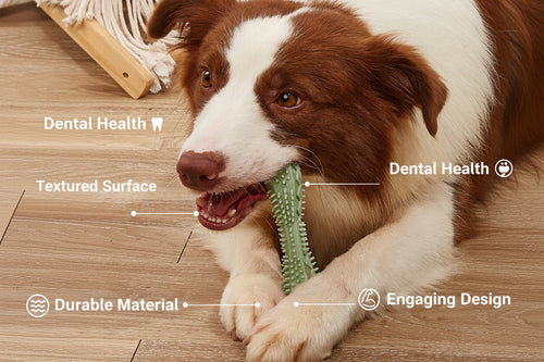 Chew Toys For Dog Teeth Cleaning
