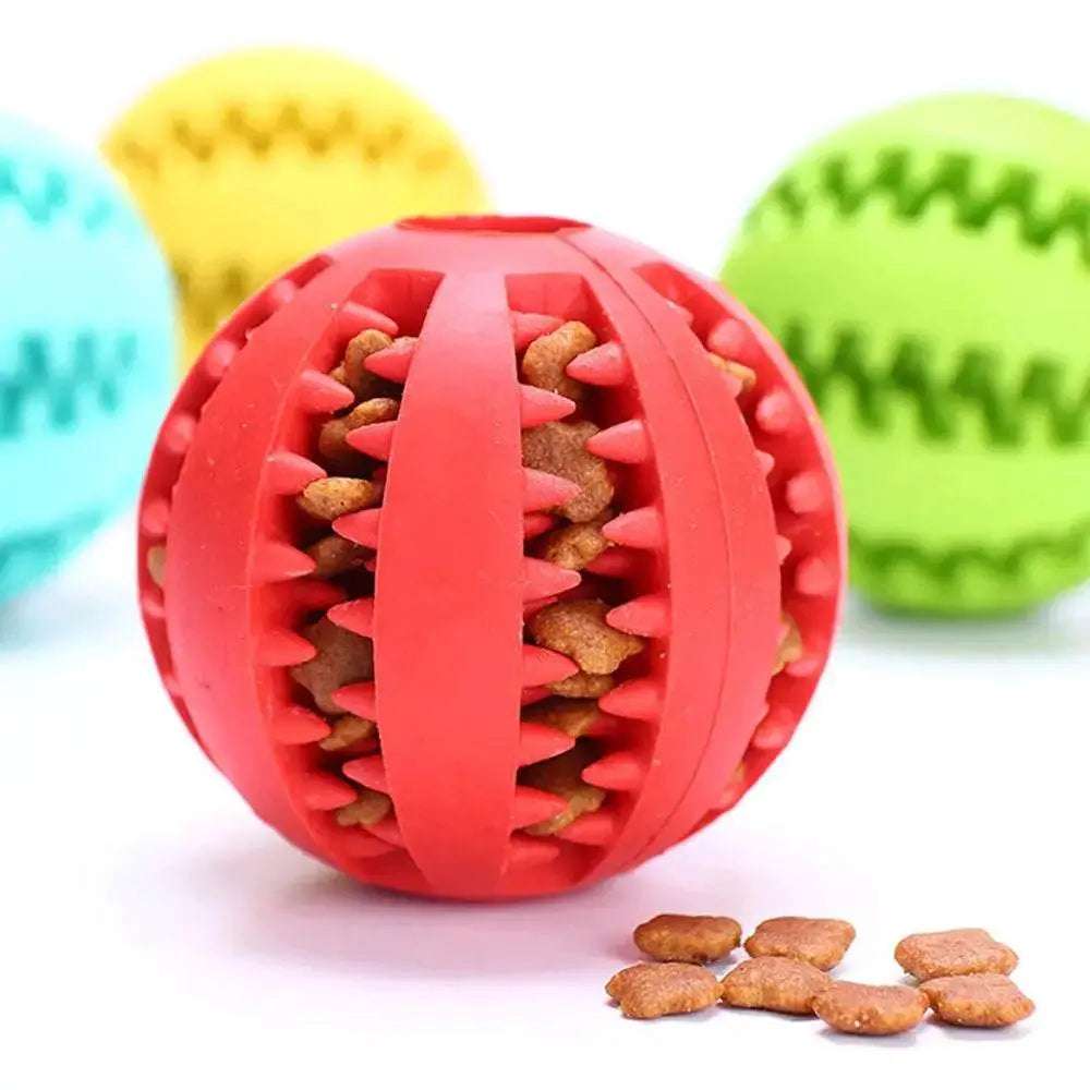 Dog chew toy Pet palace shop