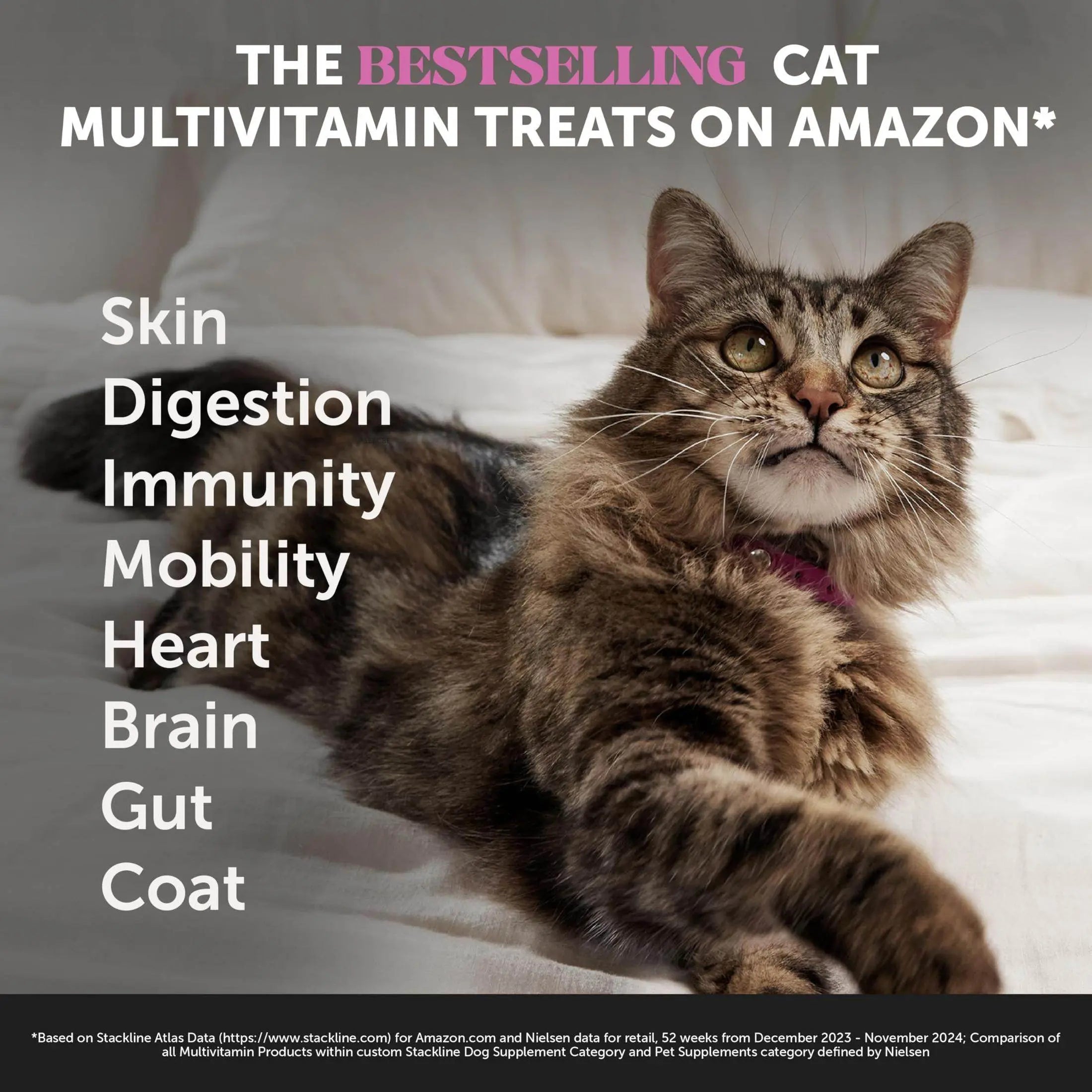 Pet Honesty Cat Multivitamin Crunchy & Creamy Chews - Cat Treats for Health + Immune, Cat Joint Support, Skin & Coat, & Digestion - Omega 3s, Lysine & Probiotic Cat Vitamins - 30 Day Supply Pet palace shop