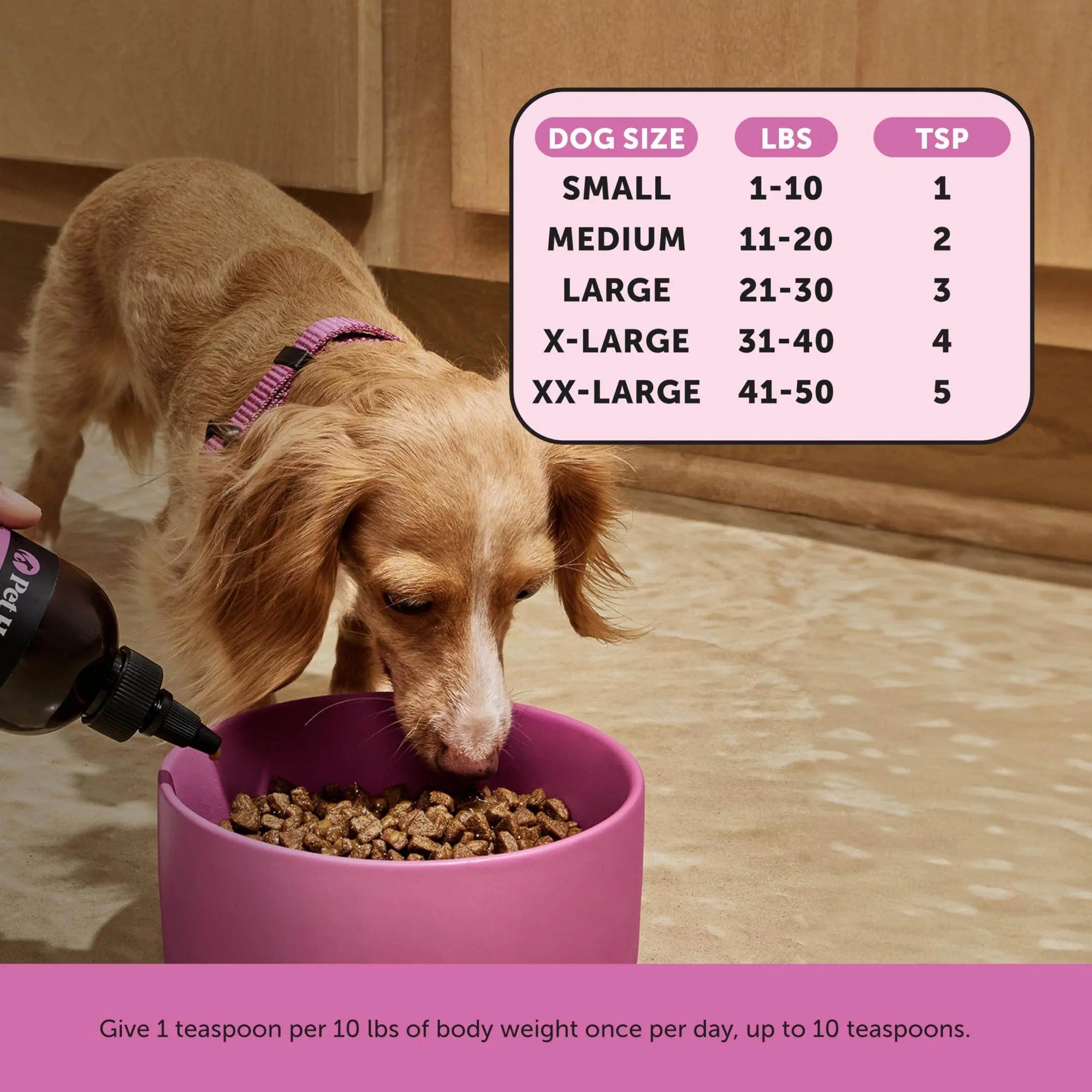 Pet Honesty Cat Multivitamin Crunchy & Creamy Chews - Cat Treats for Health + Immune, Cat Joint Support, Skin & Coat, & Digestion - Omega 3s, Lysine & Probiotic Cat Vitamins - 30 Day Supply Pet palace shop