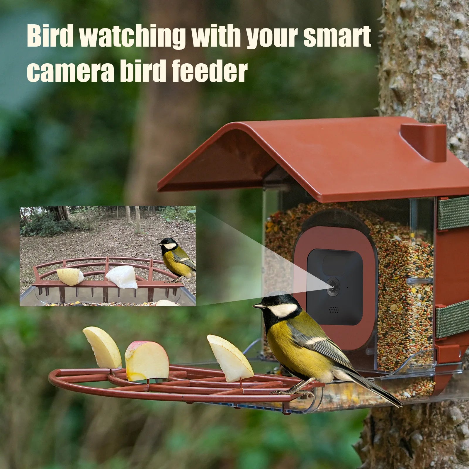 وحدة تغذية الطيور مع حافظات الكاميرا ولوحة الطاقة الشمسية