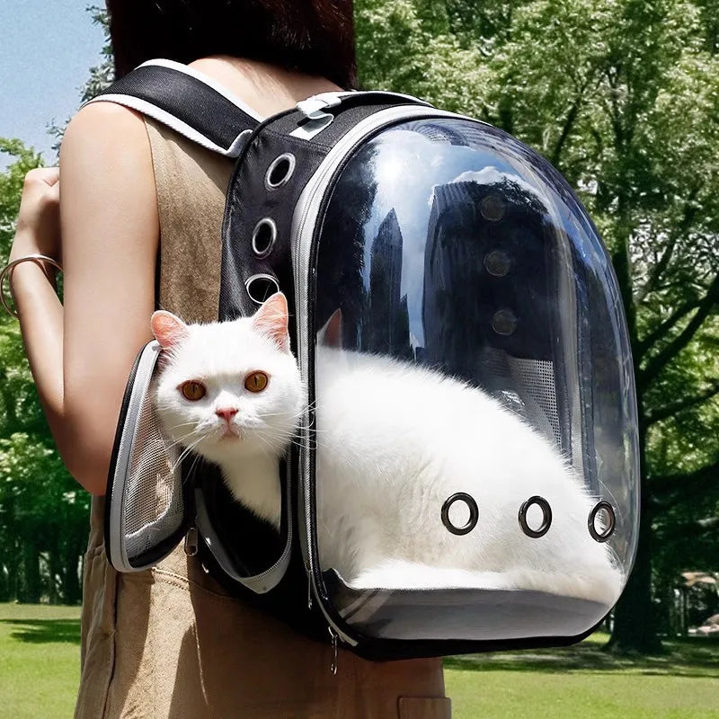 Portable Cat Bag Convenient for Outdoor Travel with Small Dog Universal Backpack