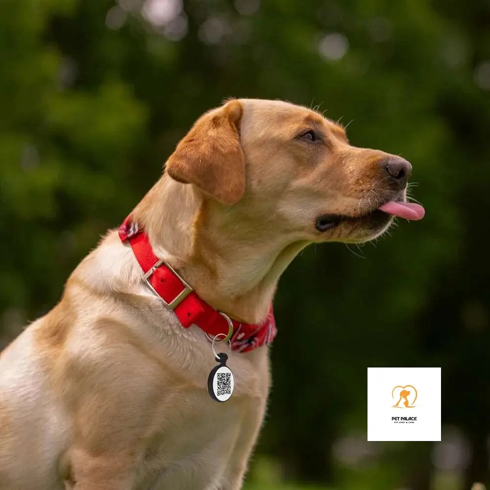 Silent Silicone QR Code Pet ID Tags Dog Tags - Pet Online Profile Pet palace shop